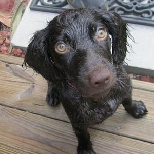 Meet your Posher, Wendy